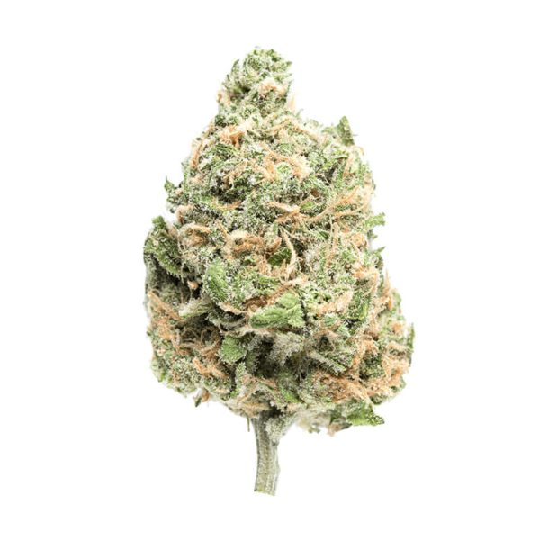 Blue Dream Marijuana Strain