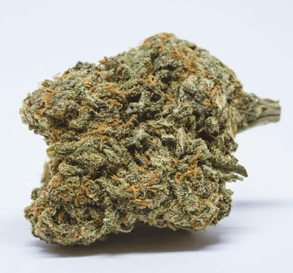 Cheese Cannabis Strain EU