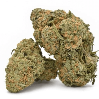 Durban Poison Marijuana Strain