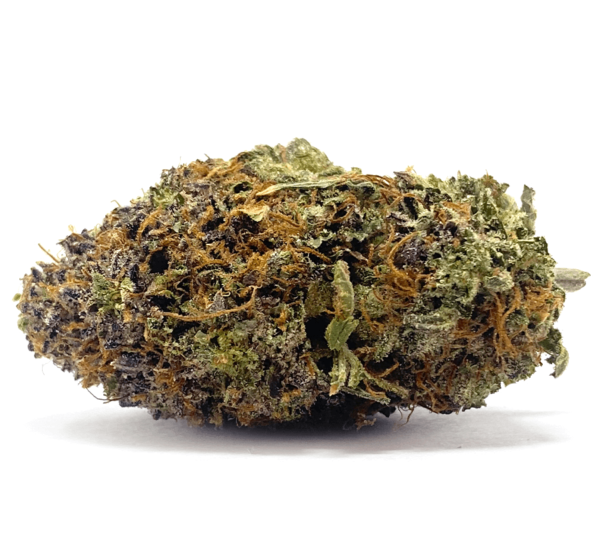 Hindu Kush Cannabis Strain