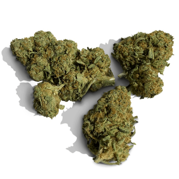 Kosher Kush Marijuana Strain