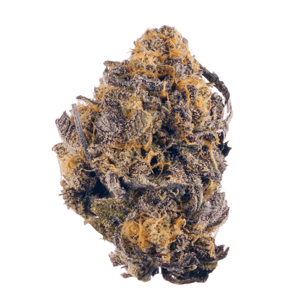 Purple Kush Cannabis Strain