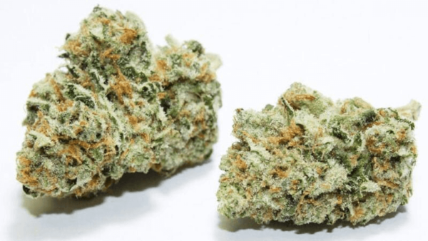 White Kush Marijuana Strain